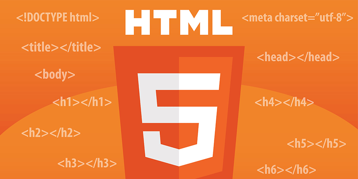 تفاوت طراحی سایت با وردپرس یا HTML
